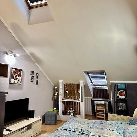Schitterend Appartement In Het Centrum Van Amszterdam Kültér fotó